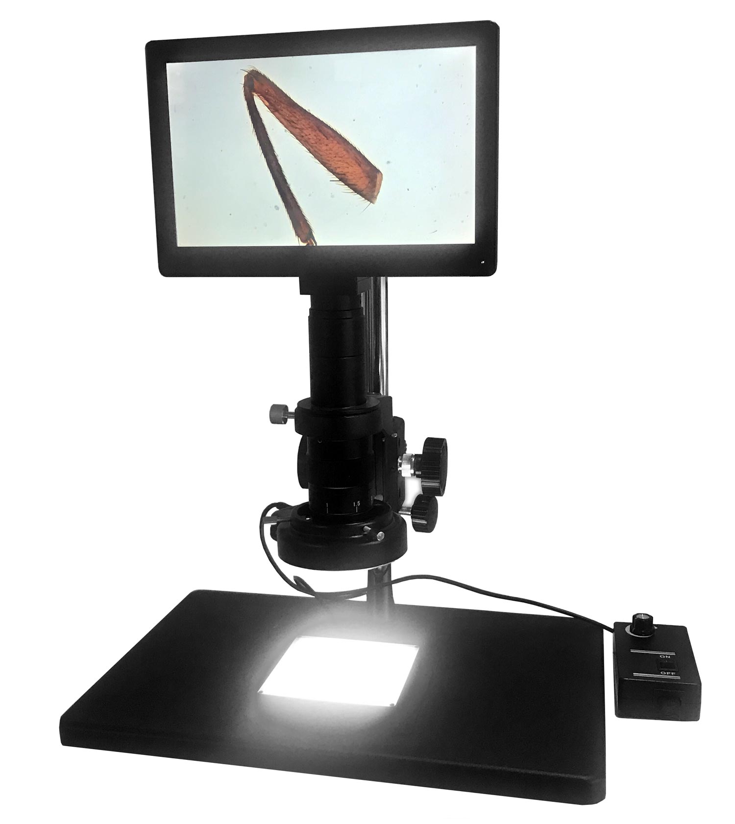 DIGI Underlys til mikroskop (100x100mm / 10 watt)